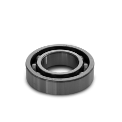 Kugellager  6005    F9.9 / F15 / F15A / F20A - GB/T276-6005