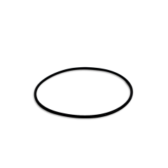 O-Ring Wasserpumpe   F115 - F115-04000603
