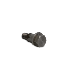 Schraube Ansaugschalldämpfer F15A / F20A / F20A EFI – F20-05000012