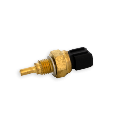 Thermofühler  F30 / F40 / F50 / F60 - F40-05090700EFI