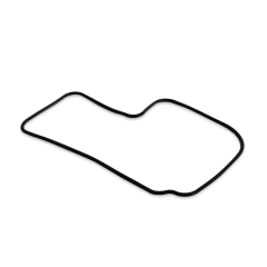 Dichtung Benzinpumpe F30 / F40 - F40-05100704EFI