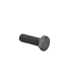 Maschinenschraube V2A  M8x25 F2.6 / F4 / F5 / F9.9 / F15 / F15A / F20A / F15A EFI / F20A EFI / F30 / F40 / F50 / F60  - GB/T5783-M8x25