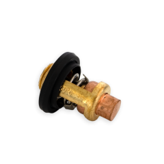 Thermostat F2.6 / F4 / F5 / F15A / F20A / F20EFI / – T15-04000010